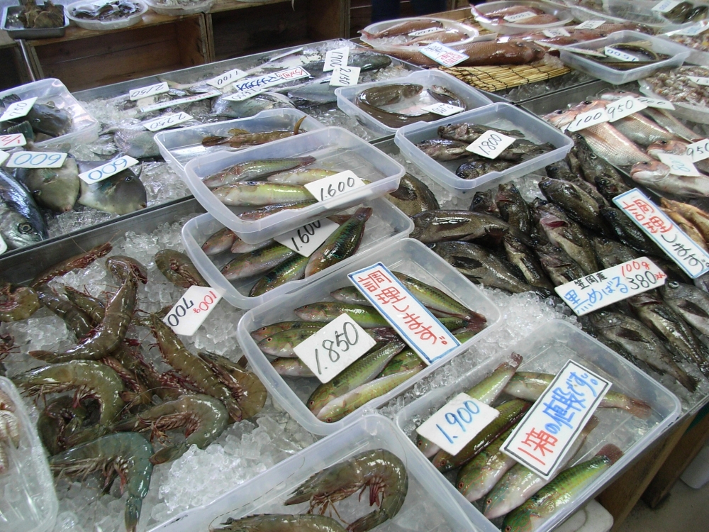 魚１